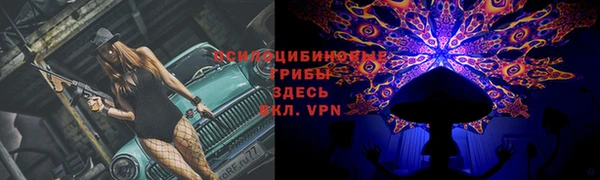 трава Абдулино