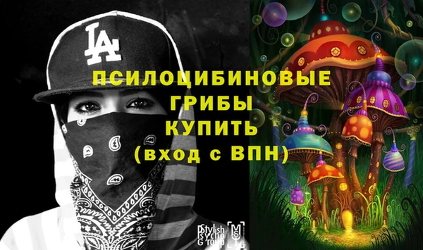 спайс Сосновый Бор