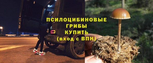 дмт Покров