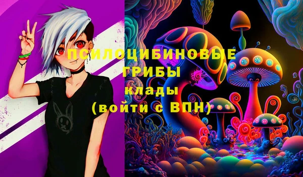 ГАЛЛЮЦИНОГЕННЫЕ ГРИБЫ Абинск