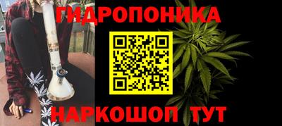 соль ск Славгород