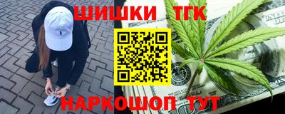 Альфа ПВП Сланцы