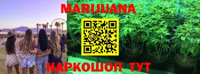 Альфа ПВП Сланцы