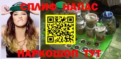 Альфа ПВП Сланцы