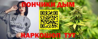 Альфа ПВП Сланцы