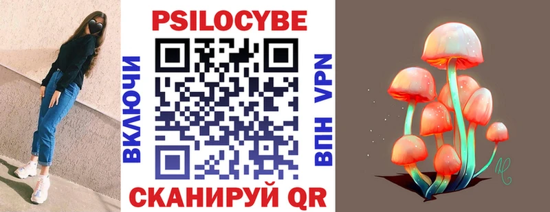 Псилоцибиновые грибы мицелий  Советск 