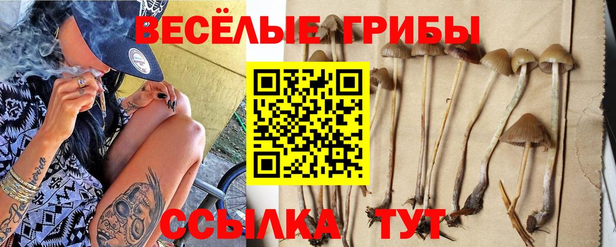 Галлюциногенные грибы Psilocybe  Вход с VPN  Псилоцибиновые грибы мухоморы  Советск 